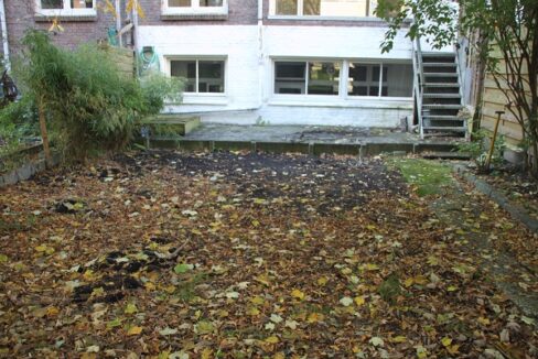 Tuin