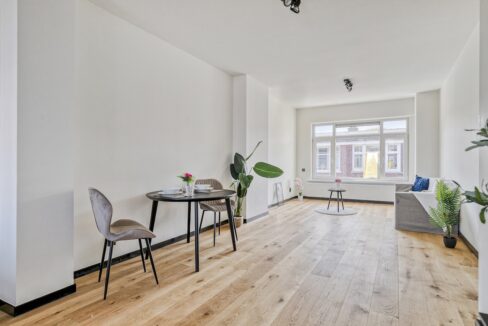 Pippelingstraat1282564rlsGravenhage-11