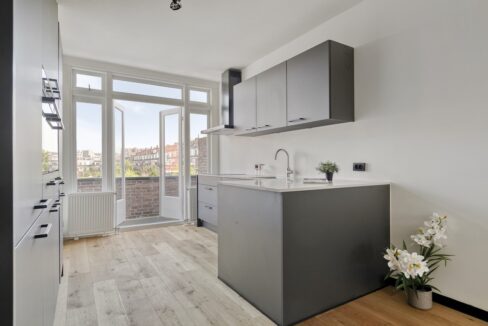 Pippelingstraat1282564rlsGravenhage-14