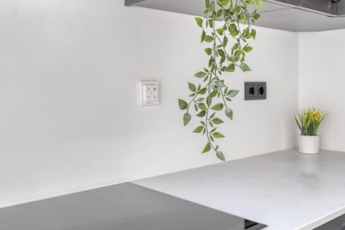 Violenstraat1b3051txRotterdamNL-22