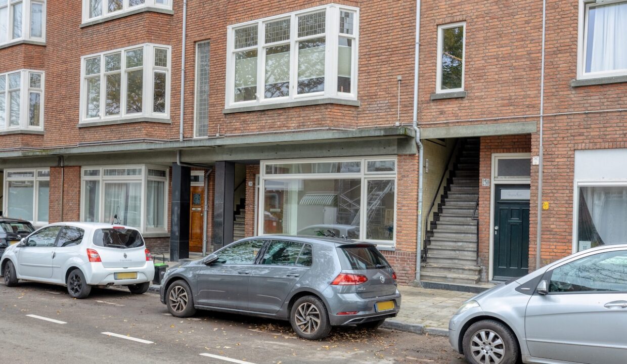 LaanvanEikenDuinen2442564gzsGravenhage-04