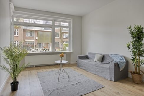 LaanvanEikenDuinen2342564gzsGravenhage-07