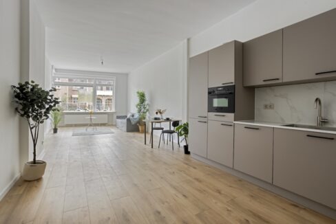 LaanvanEikenDuinen2342564gzsGravenhage-13